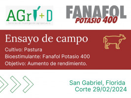 Fanafol Potasio 400 - San Gabriel, Florida - corte 29/02/2024