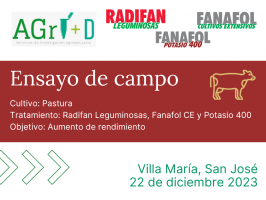 Radifan Leguminosas, Fanafol CE y Potasio 400 - Villa María, San José - 2023 Diciembre