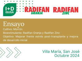 Radifan Granja y Zinc en Morrón - Villa María, San José - Octubre 2024