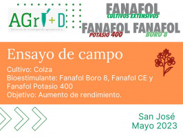 Fanafol Boro 8 + Fanafol Potasio 400 + Fanafol Cultivos Extensivos - San José - 2023