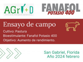 Fanafol Potasio 400 - San Gabriel, Florida - 2024 febrero