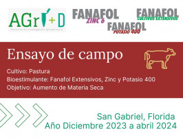 Fanafol Culviso Extensivos, Zinc y Potasio 400 - San Gabriel Florida - Dic 2023 a Abril 2024