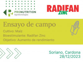 Ensayo Radifan Zinc - Soriano, Cardona - 28/12/2023