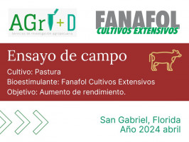 Fanafol Cultivos Extensivos - San Gabriel, Florida - corte Abril 2024