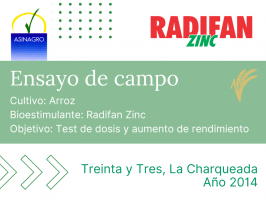 Radifan Zinc - Treinta y Tres, La Charqueada - 2014