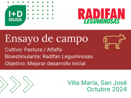 Radifan Leguminosas - Villa María, San José - Oct. 2024