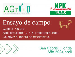 12-8-5 + micronutrienes - San Gabriel, Florida - 2024 abril